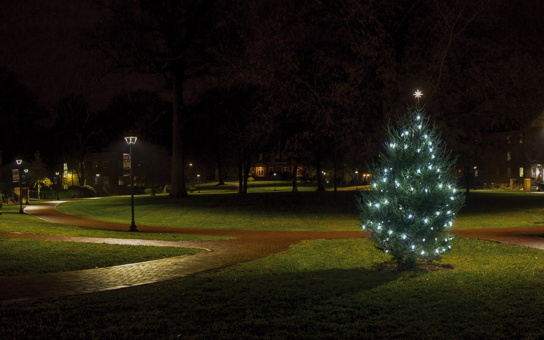 Christmas Photo