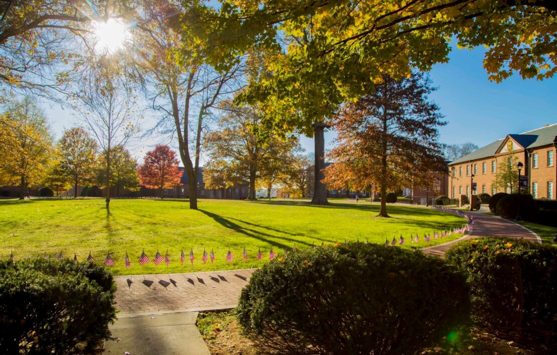 A sunlit college campus lawn bordered by small American flags, with autumn trees in vibrant colors and brick buildings in the background under a clear blue sky.